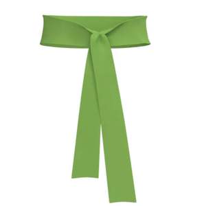 Cinturón de Tela Personalizado con Banda de Color, Acabado Suave y Cómodo, Accesorio Formal para Desfiles, Eventos y Vestimenta Tradicional - Product Image 1