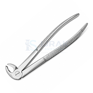 Forceps d'extraction dentaire en acier inoxydable avec poignée moletée, instrument chirurgical manuel pour extraction de dents, classe I - Product Image 4