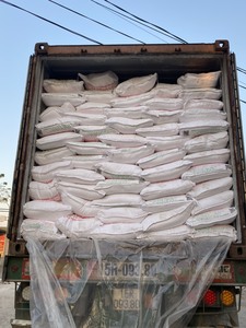 Poudre d'amidon de racine d'arrowroot, produit naturel biologique, emballée en sacs, idéale pour la vente en gros et les marchés mondiaux - Product Image 6