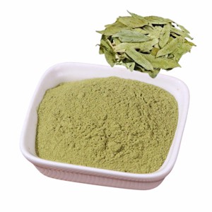 Polvo de Senna OEM Más Vendido, 100% Puro, Polvo de Hoja de Senna, Soporte Digestivo Natural a Base de Hierbas, Promueve la Regularidad y una Limpieza Suave - Product Image 1