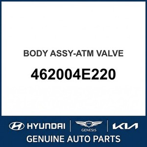 Nuevas Piezas de Transmisión Manual 462004E220 - Product Image 1