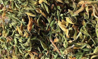 Meilleure vente Herbe fraîche et délicieuse séchée du Vietnam-Graines de fleurs de papaye vertes et jaunes séchées pour-BLUE LOTUS