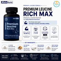 Protéine de lactosérum premium RichMax L riche en leucine, formule hyperprotéinée, soutien énergétique, santé musculaire, force, ingrédient OEM, marque privée