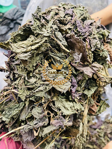 Precio de fábrica al por mayor Perilla frutescens Hojas secas Perilla hojas secas Té de hierbas 100% Secado natural de Vietnam - Product Image 3