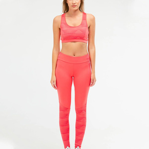 Women's Professional Plain Gym Sports Wear <b>Leggings</b> & Bra 2 Piece Sets Workout Activewear Yoga <b>Leggings</b> Set - Product Image 1