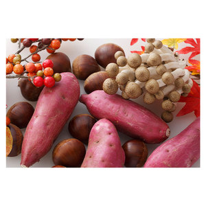 Vegetales Frescos de China de Calidad Inigualable: Hojas de Camote, Rábano, Repollo y Brócoli - Product Image 1