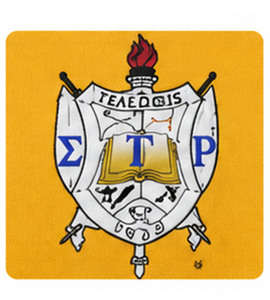 Veste universitaire personnalisée GREEK TREASURES Sigma Gamma Rho Sati avec broderie sur le devant, col montant, haute qualité - Product Image 4
