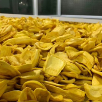Mekong River Premium Gold Selection Jackfruit Chips Knapperige Tropische Diepte