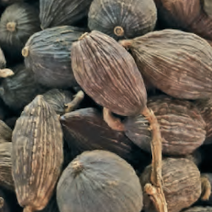 CARDAMOMO NEGRO NATURAL PREMIUM - ESPECIAS SECAS DE ALTA CALIDAD PARA EXPORTACIÓN - Product Image 4
