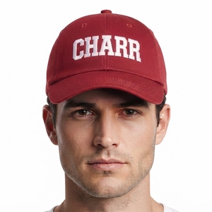 Gorra de Béisbol Deportiva de Mezclilla para Invierno, con Logotipo Personalizado, Impermeable, para Hombre y Mujer, Ajustable, con Protección para el Cuello, de Color Sólido - Product Image 4