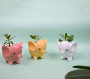 Maceta de Cerámica Esmaltada con Forma de Elefante para Suculentas |   Mini Maceta con Forma de Animal, Hecha a Mano, Ecológica, Duradera, 0.4 kg, para Hogar u Oficina - Product Image 3