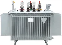Transformateur à fil de cuivre DSJ DSJMT pour applications industrielles et commerciales, bonne performance d'isolation, 11KV triphasé 80 KVA 50/60Hz