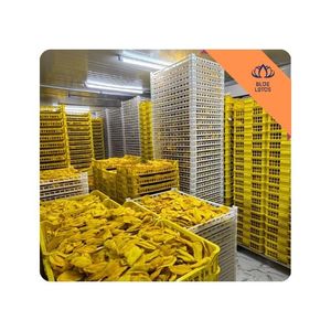 [สินค้าขายดี] มะม่วงอบแห้งเนื้อนุ่ม รสหวาน ผลไม้เมืองร้อน เหมาะสำหรับทานที่ทำงานและที่บ้าน ผลิตในเวียดนาม - Product Image 1