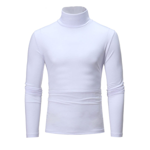 Pull-over Homme Col Roulé Tactile Doux en Mélange de Polyester Texture Lisse Confortable Décontracté Coupe Classique Ajustée - Product Image 3