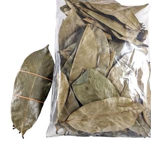Feuilles de corossol à base de plantes de haute qualité exportation en vrac de la ferme du Vietnam - Product Image 1