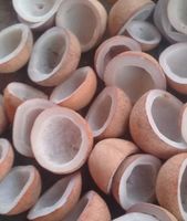 Gedroogde kokosnoot halve schelp copra, eetbaar, 65% oliegehalte, zoete smaak, watergeconserveerd, AD-drogen, vacuüm verpakt, bulk levering India