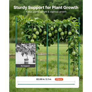 82.68-Inch Plastic Coated Metal <b>Tomato</b> Stakes 25 Pack Garden Sticks for Plants <b>Support</b> Pointed End Used for Growing - Product Image 2