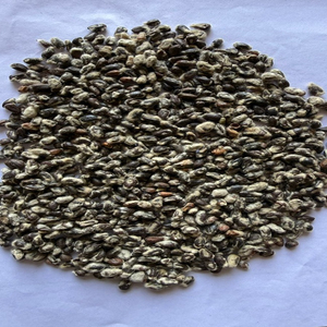 Graines de coton fraîches en vrac de qualité supérieure pour commandes B2B de gros volume - Product Image 2