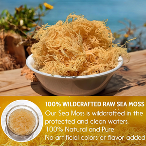 Gel minéral marin premium, 100% mousse de mer biologique fraîche pour l'alimentation - Product Image 2