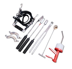 ชุดเครื่องมือทันตกรรมม้าสัตวแพทย์ชุดอุปกรณ์ดูแลช่องปาก - Product Image 3