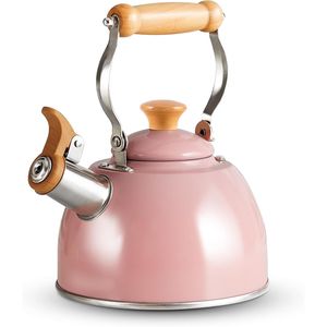 Bollitore da tè in acciaio inossidabile con manico ergonomico Cool Touch, teiera a fischio per piano cottura, per uso alimentare - Product Image 1