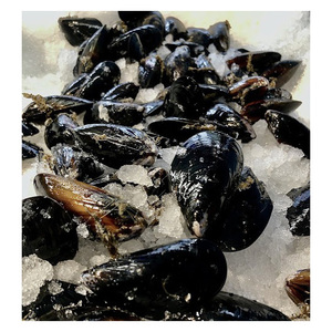 หอยแมลงภู่แช่แข็ง หอยแมลงภู่สีน้ำเงิน หอยเชลล์ หอยทะเล - Product Image 6