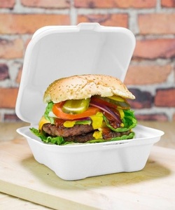 Boîtes d'emballage biodégradables en bagasse de canne à sucre de qualité export pour la restauration rapide, 6 x 6 pouces, pour hamburgers, commandes - Product Image 1