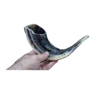 Shofar en corne de bélier naturelle, semi-polie, taillée à la main : Instrument de prière juif authentique - Product Image 4