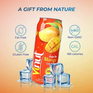 Jus de mangue du Vietnam en marque blanche avec pulpe, disponible en OEM/ODM, personnalisable, durée de conservation de 24 mois - Product Image 4