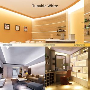 Striscia LED Bianca Regolabile 5m, Dimmerabile, Luminosa, 300 LED 2835, Bianco Caldo/Freddo, con Forte Adesivo 3M, Prodotto Strisce LED - Product Image 6