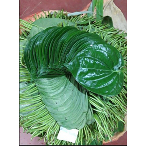 Hojas de betel verdes indias de alta calidad utilizadas para la preparación de paan y ceremonias religiosas a precio de oferta. - Product Image 6