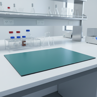 Tapis de sol de table ESD en caoutchouc antistatique vert de 2 mm d'épaisseur, personnalisé en usine, pour ligne de production électronique, salle blanche