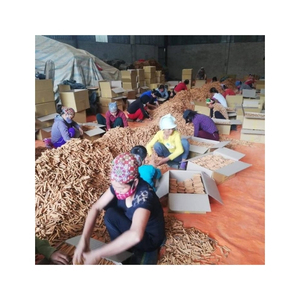 วัตถุดิบคุณภาพเยี่ยม อบเชยแท่ง สำหรับทำขนมและปรุงรสเครื่องดื่ม กลิ่นหอม วัตถุดิบแห้ง สำหรับส่งออก - Product Image 2