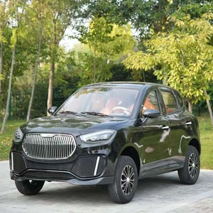 Produit personnalisable OEM/ODM industriel DIY neuf avec garantie de 3 ans - Vente chaude - Product Image 2