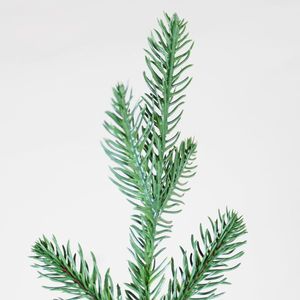 Árbol de Navidad Curvo de 6 Pies con 830 Puntas, PE Verde y Base de Metal, Forma Irregular y Apariencia Realista para Uso en Interiores - Product Image 4