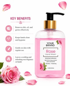 OEM <b>Hand</b> <b>Wash</b> for Gentle Cleansing Fresh <b>Hands</b> and Daily Hygiene Protection Care other skin care product - Product Image 3