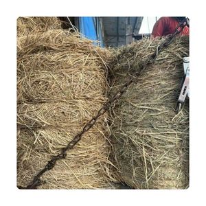 TENDANCES ACTUELLES Paille de riz compressée pour la transformation pratique du fourrage et les substrats de culture de champignons - Product Image 2