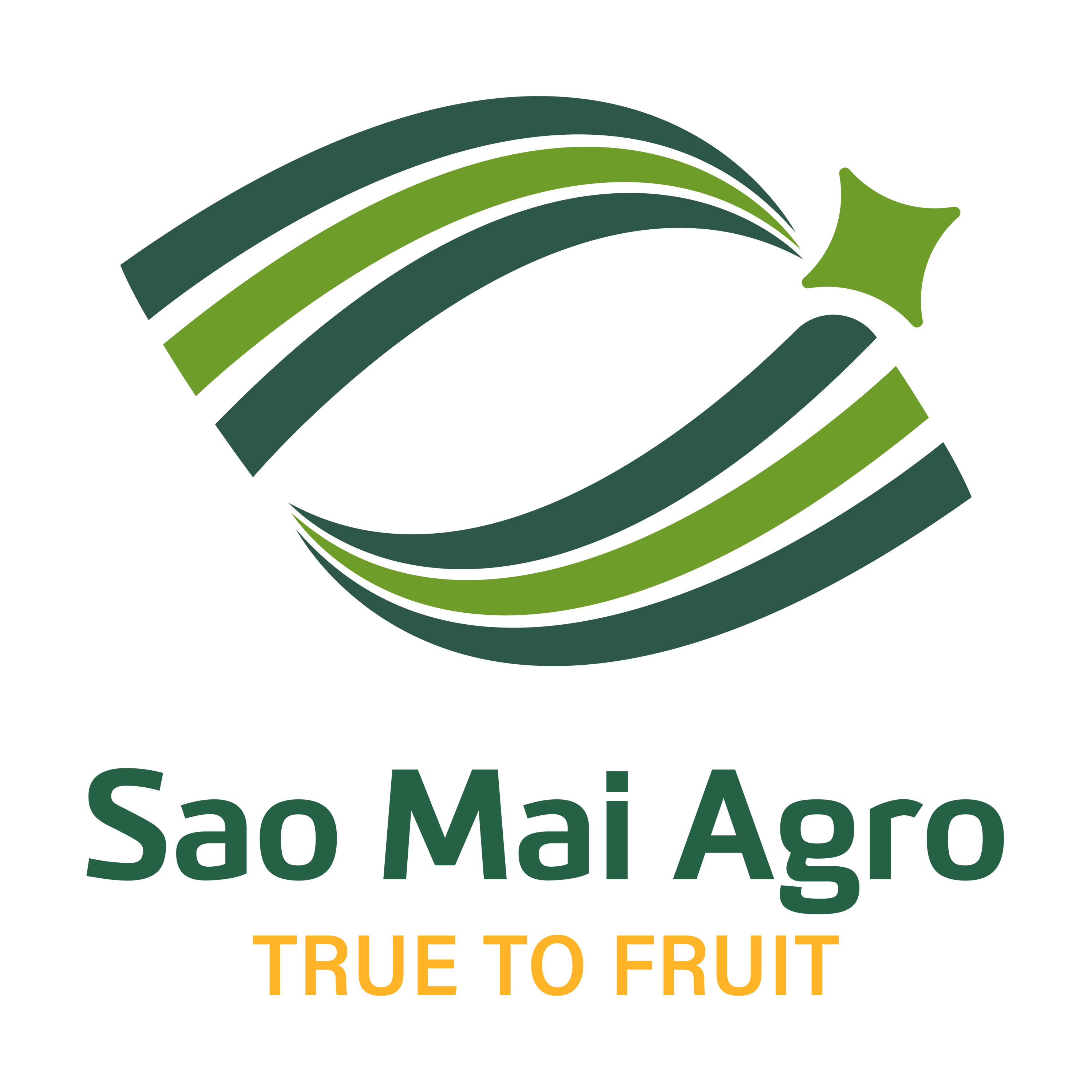 SAO MAI AGRO PROCESSING JSC logo