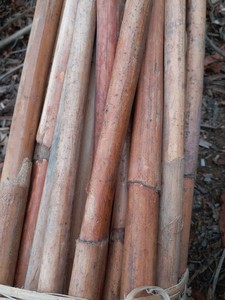 เสาไม้ไผ่คุณภาพสูง – ไม้ไผ่ธรรมชาติแข็งแรงทนทาน ราคาแข่งขัน // คุณทอม - Product Image 2