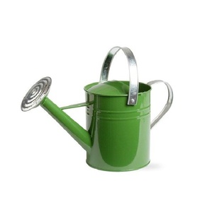 Regadera Decorativa Moderna de Metal, con Superficie Esmaltada Impresa, Ligera y Duradera, para Interiores y Exteriores - Product Image 3