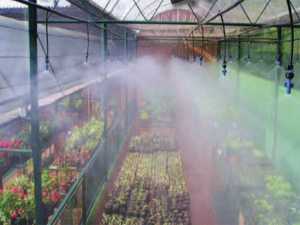 Kit de Nebulización de Alta Presión con 60 Boquillas para Enfriamiento de Exteriores y Uso en Invernaderos |   Terraza para Jardín, Granja Lechera y Hogar |   Instalación Fácil | - Product Image 3