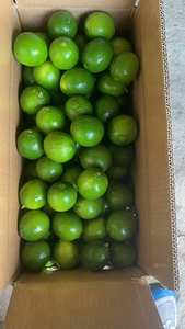Citron/lime frais sans pépins, qualité supérieure, grade 1 : fruits de grande taille, brillants, peau fine, beaucoup de jus / Mme Lima - Product Image 6