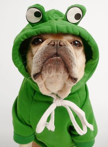Cute Frog Hoodie Fleece Pet <b>Clothes</b> for <b>Dogs</b> Cartoon Animal Design Comfortable All Seasons <b>Dog</b> Sweatshirt Funny Style - Product Image 4