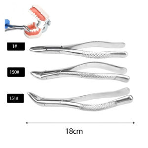Fórceps de Extracción Dental de Acero Inoxidable de Alta Resistencia, Agarre Ergonómico, Certificado CE, Modelo DEBONAIRII para Cirugía Oral - Product Image 2