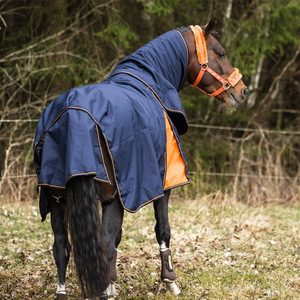 Couverture d'écurie imperméable en coton Ripstop pour chevaux noirs, sur mesure, haute qualité, pour dressage, légère, pour l'hiver et l'extérieur - Product Image 4