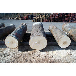 Troncos de Madera Dura de Alta Calidad para Producción de Barriles de Vino, Whisky y Licores, Madera Natural Duradera Perfecta para la Elaboración de Barriles - Product Image 6