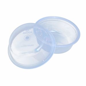 Plante de Bambou Porte-Bonheur en Pot, Bambous Vivants d'Intérieur pour la Décoration de la Maison, du Salon, du Bureau - Product Image 1