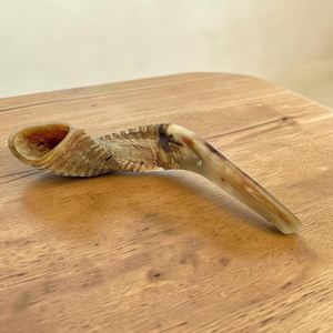 Shofar en corne de bélier, matériau organique écologique, poli à la main, décoration d'intérieur, artisanat Hs Husnain fabriqué en Inde - Product Image 3
