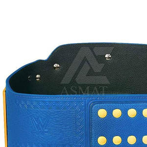 Cinturón de Lucha Libre Personalizado de Primera Calidad, con Placa Metálica, Talla Adulto, para Exhibición y Venta - Product Image 4