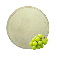 Groene Muscat Fruitextract Sap Poeder Voedingsmiddelkwaliteit Halal OEM B2B Gourmet Vacuüm verpakt drankingrediënt